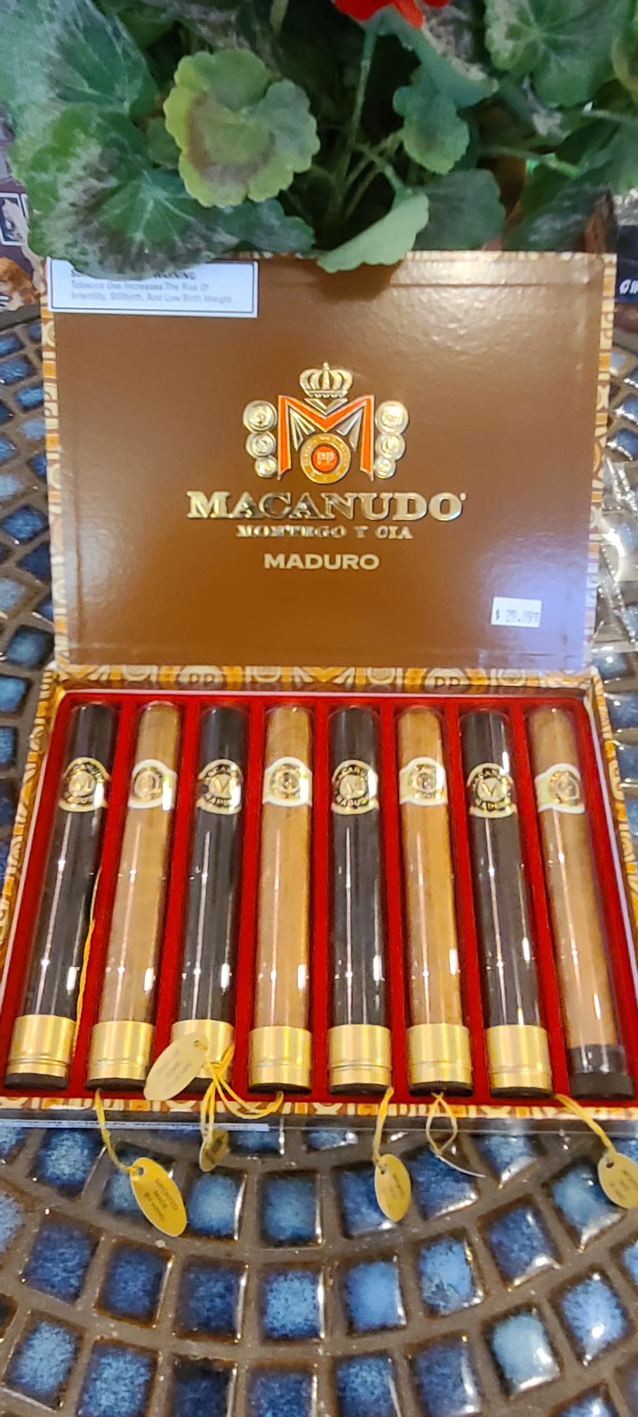 Macanudo Maduro